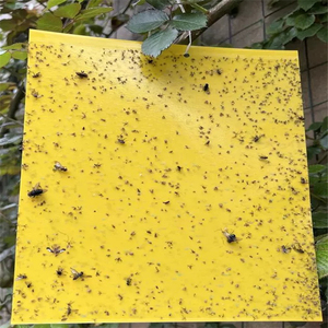 Trampas Adhesivas Impermeables Azules/Amarillas de 30*25 cm para Control de Plagas: Minero de Hojas/Mosca Blanca/Trips/Mosca de la Fruta - Product Image 2