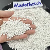 Masterbatch plastique blanc de haute qualité PE PP PET ABS PC pour injection, film soufflé et extrusion