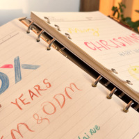 Carnet de notes avec couverture en cuir PU, reliure à anneaux, Journal intime