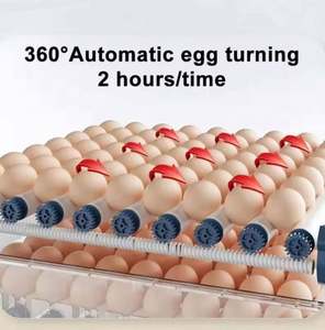 Incubateur à œufs 128 places, machine à couver pour volailles, éclosoir pour œufs de poule - Product Image 6