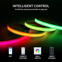 1428LED RGBIC + CCT COB Pixel Strip USB Programmable Rainbow Dream Color SPI Smart WS2811 Guirlande Lumineuse Adressable Néon
