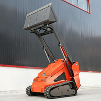 Mini-chargeuse sur chenilles professionnelle avec boîte de vitesses, moteur diesel, capacité de 430 kg, pour l'aménagement paysager et l'utilisation en jardinage, livraison gratuite