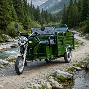 Triciclo Eléctrico Homologado por la CEE de 1200W, Batería de 48V 60V 52AH, Motocicleta de Carga con Capacidad de 200kg para Logística y Agricultura, 2 <span class=keywords><strong>en</strong></span> 1 - Product Image 3