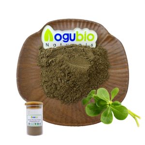 Hochwertiger Pflanzen extrakt Bacopa Monnieri Extrakt Pulver Bacosides - Product Image 1