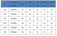 Ensemble Costume de Mariage Garçons Veste+Pantalon 2 Pièces Tenue de Cérémonie pour Enfant Gentleman Journée des Enfants Remise de Diplôme Chorale Fête Costume Chinois