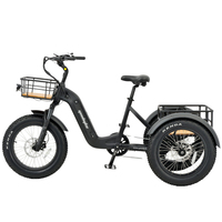 Trike électrique 48V 250W Tricycle électrique 3 roues Cargo Bike pour adulte