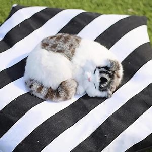 <span class=keywords><strong>Tipi</strong></span> portátil lavable para mascotas, tienda para mascotas, <span class=keywords><strong>tipi</strong></span> para gatos, cama con cojín grueso, <span class=keywords><strong>tipi</strong></span> para perros y gatos, tienda para perros - Product Image 6