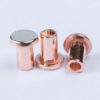 Rivets de contact bimétalliques OEM personnalisés en cuivre argenté, matériau en cuivre durable, points de contact électriques à haute conductivité pour relais