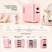 Kulkas Mobil & Rumah 4L, Mini Pendingin/Pemanas Termoelektrik, Ringkas, Cocok untuk Asrama, Daya AC/USB, Bahan PP
