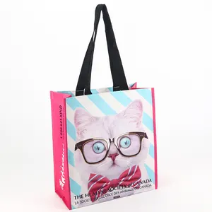 China Manufacturers Fashion Cute Cat Print Laminated Pp Woven Shopping Tote Bag