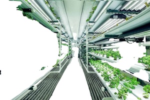 Conteneur hydroponique pour l'agriculture dans la plantation de légumes - Product Image 3