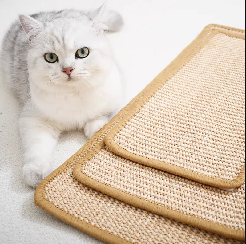 Chat planche résistante aux rayures chat maison bloc à gratter animal de compagnie boîte à gratter tapis de jouet pour animaux de compagnie
