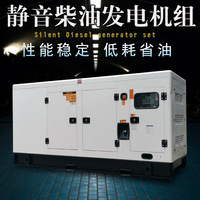 Groupe électrogène diesel silencieux de marque Ricardo 80KW 100kVA option dynamo insonorisée triphasée ATS vente directe d'usine