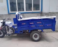 Vente chaude chinoise 3 roues nouveau style chinois camion électrique 200cc motorisé taille personnalisable tricycle cargo avec corps ouvert