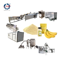 Fabrieks prijs volautomatische bananenpoeder productielijn, plantainpoeder molen en mixer