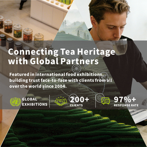 Thé Oolong Da Hong Pao Floral de Première Qualité <span class=keywords><strong>du</strong></span> Fujian <span class=keywords><strong>du</strong></span> <span class=keywords><strong>Nord</strong></span> en Vrac, Notes d'Orchidée, de <span class=keywords><strong>Miel</strong></span> et Minérales, Antioxydant, Amincissant, en Sachet - Product Image 4