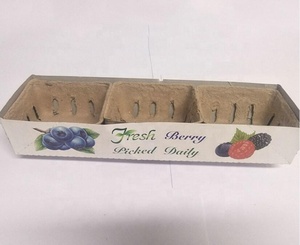 Modellato in fibra di polpa cesto di bacche produrre contenitore ventilato <span class=keywords><strong>per</strong></span> frutta e verdura Farmer Market <span class=keywords><strong>negozi</strong></span> di alimentari e festa in giardino - Product Image 4