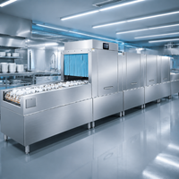 Lave-vaisselle professionnel électrique 380V en acier inoxydable 304, type plat, autonome, pour hôtels et restaurants