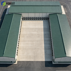 Almacén Modular de Acero Estructural de Gran Envergadura, Depósito de Distribución de Materiales de Gran Altura - Product Image 1