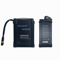 Ini menang 12S 44.4V 16000mAh 20C 25C Lipo baterai Ion Lithium pertanian isi ulang dan mengangkat baterai Drone UAV aksesoris