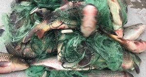 بيع بالجملة عالية الطاقة <span class=keywords><strong>3</strong></span> طبقات غرق شبكة صيد طول m قلادة الرصاص غرق الوزن - Product Image 3