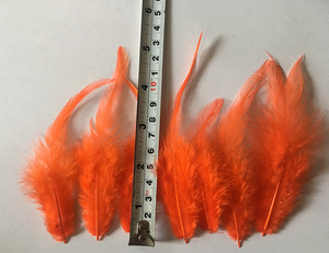 Plume de <span class=keywords><strong>faisan</strong></span> verte teinte écologiquement pour artisanat, montage de mouches de pêche, coiffure, accessoires capillaires de carnaval, boucles d'oreilles, décoration de fête et de maison - Product Image 2