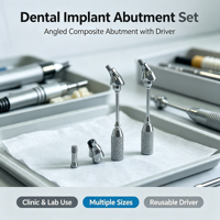 Abutment composite dentaire angulaire avec driver de pose, abutment d'implant multi-angle en titane pour la restauration de couronnes en cas d'ângulations