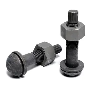 Tension Bolt High Tension Strength S10t Tc Bolt Grade 10.9 For Steel Structure
