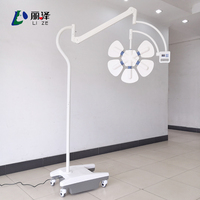 LIZE Standfeste Veterinär-Schattenlose Leuchte Deluxe Arm LED700 OP-Lampe Mobile Medizinische Schattenlose Lampe zum Verkauf