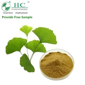 Nsf cGMP nhà máy Ginkgo Biloba chiết xuất 5:1, 10:1 chiết xuất thảo dược bột