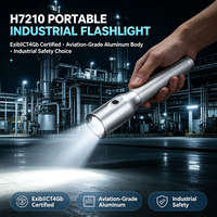 Lampe torche LED antidéflagrante 10W haute puissance ExibIICT4Gb IP66 étanche 4400mAh 16H pour l'exploitation minière et la pétrochimie, rechargeable