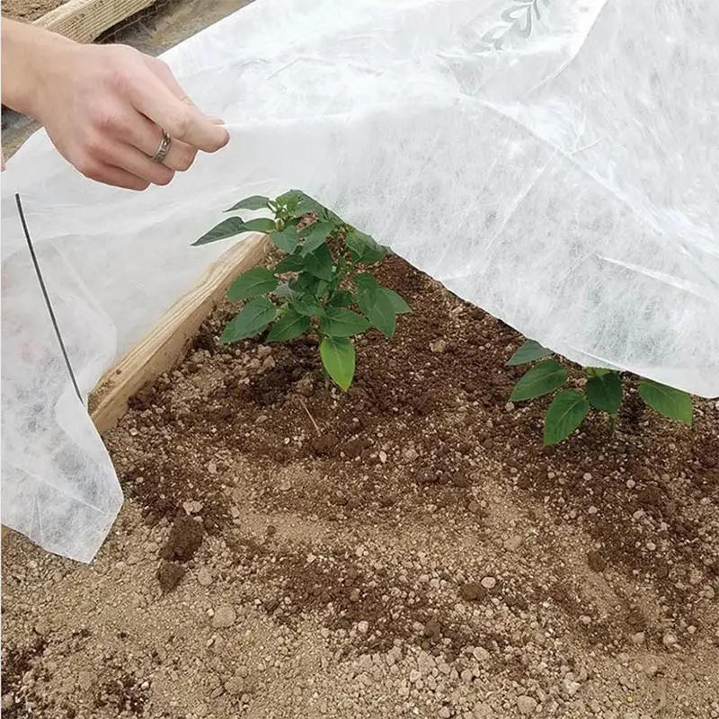 Couverture de jardin en polypropylène, tissu non tissé pour la protection contre le gel solaire des arbres fruitiers, des légumes et des fruits pour l'hiver