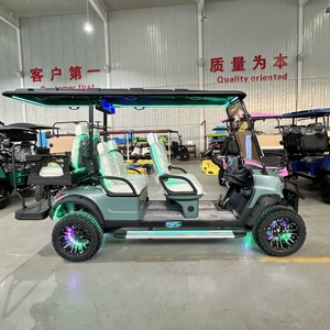 Carrito de Golf HKBG, Buen Precio, Estándar, 7-8 Asientos, Autonomía de 50-70 km, Velocidad de 30-50 km/h, Capacidad de Subida de 25 Grados, Carrito Todoterreno de Alta Calidad - Product Image 4
