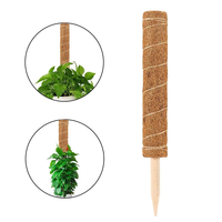 Supports de plantes en mousse naturelle pliables, écologiques, minimalistes, pour jardin suspendu et sol, en fibre de coco
