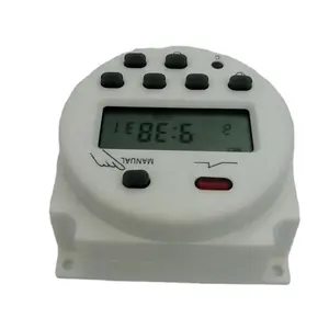 Cn101a 16a 220V 24V 12V Wekelijks Programmeerbaar Paneel Gemonteerd Digitale Display Timer