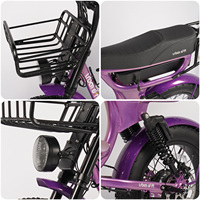 Vélo de montagne électrique personnalisable de 20 pouces, stock UE/US, batterie au lithium 250W, frein à disque, cadre en alliage d'aluminium, vélo à pneus larges
