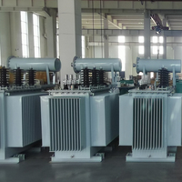 Transformador de Aleación Amorfa Sumergido en Aceite LEINENG de 10 kV y 160 kVA, Precio de Transformadores de Media y Alta Tensión