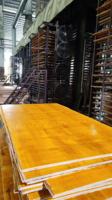 Panneaux de coffrage en bois massif de pin et d'eucalyptus, surface lisse, durables, multicouches, panneaux rouges pour coffrage