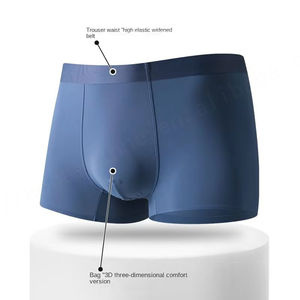 Calzoncillos bóxer de seda de hielo de verano para hombre de color sólido sin etiqueta de talla grande cuatro esquinas ropa interior para Hombre Bañadores con logotipo personalizado al por mayor - Product Image 2