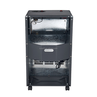 Chauffage radiant au propane économique LUOQI, directement de l'usine, avec écran de protection, chauffage mobile au gaz, appareil résidentiel d'intérieur