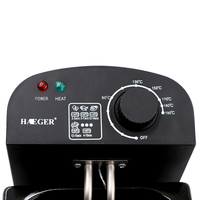 Friteuse électrique de haute qualité 3L en acier inoxydable avec panier pour frites et poulet, pour la maison, R.5299, contrôle de la chaleur par sections