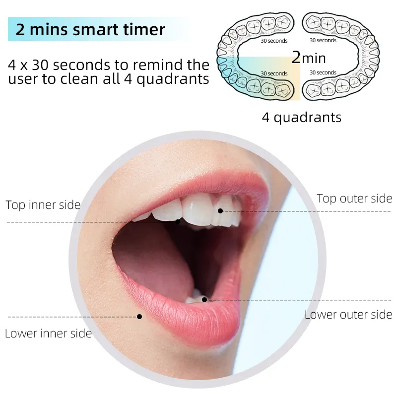 Elektrikli fırça diş yuvarlak kafa diş fırçası döner döner elektrikli diş fırçası salınan elektrikli diş fırçası şarj edilebilir