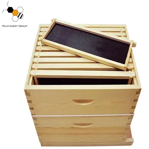 Factory Price Beekeeping Set 10 Frames 2 Layers Wooden Langstroth Beehive With Bee Frame