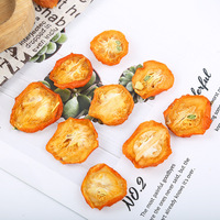 Tranches de Kumquat Séchées en Gros, Matière Première, Kumquat Lyophilisé pour Thé aux Fruits, Qualité Alimentaire, Vrac, Sans Sucre Ajouté