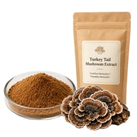 Extrait de Trametes Versicolor LongBio en poudre, champignon queue de dinde pour compléments alimentaires et boissons, OEM ODM