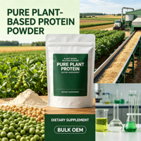 Poudre de protéines végétales pour adultes, complément alimentaire certifié Halal, naturel, en vrac, OEM, marque privée