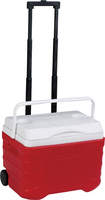 Glacière portable en plastique 20L avec roues, isolation longue durée 72 heures, étanche, en mousse PU, capacité 30 canettes, idéale pour les fêtes