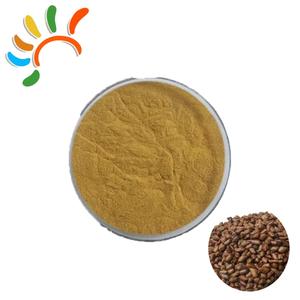 天然カシアシードエキス粉末高品質バルク供給 - Product Image 1