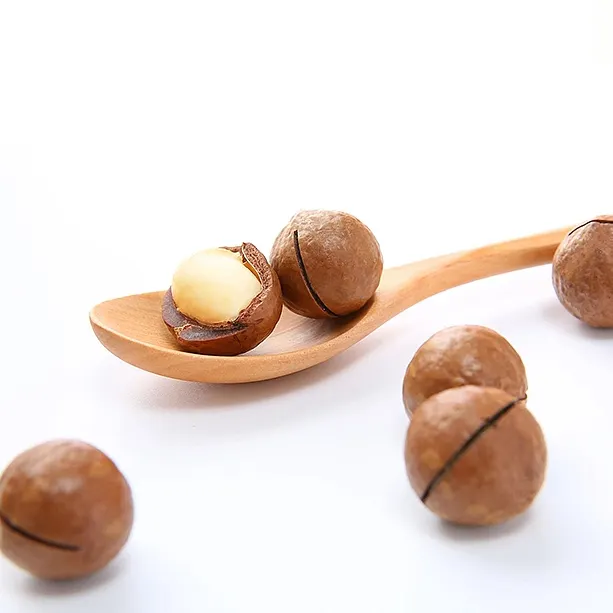 100% Good grade Macadamia Nuts /Macadamia Nuts in Shell/Roasted Salted Macadamia Nuts cheap price 20-25mm