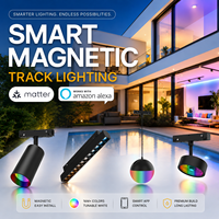 Kit d'éclairage intelligent RGB à rail magnétique modulaire, grille linéaire, dimmable, compatible Matter et Alexa, pour projets hôteliers, commerciaux et de bureaux